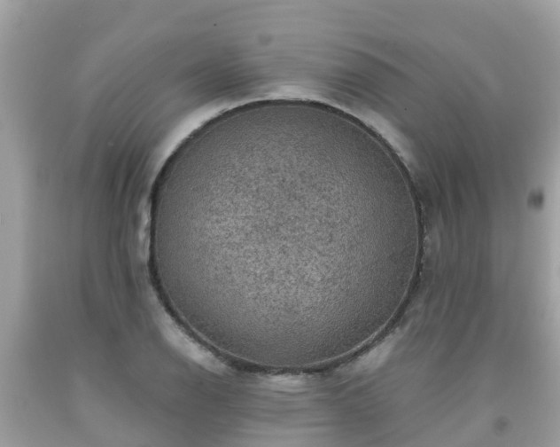 X0000092001126200709131509