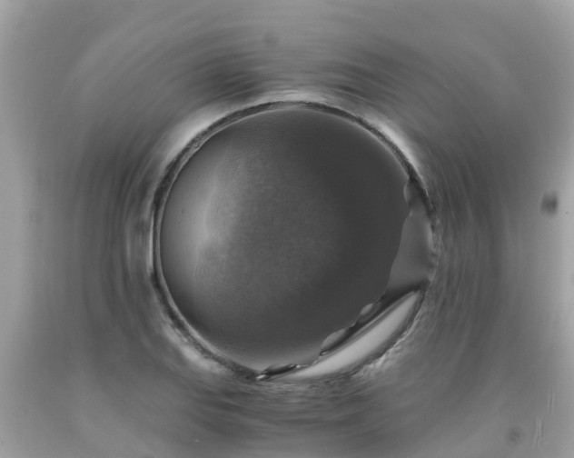 X0000092001127200709131509