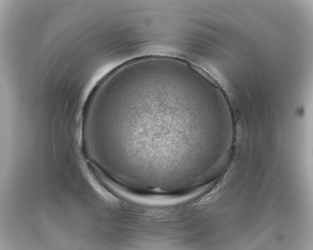 X0000092001128200709131509