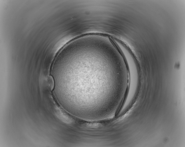 X0000092001129200709131509