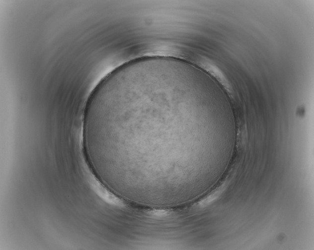 X0000092001130200709131509