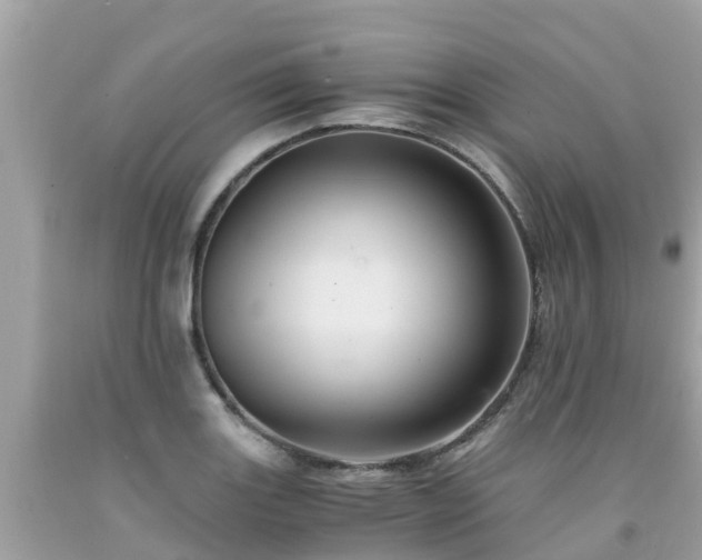 X0000092001131200709131509