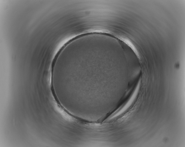 X0000092001132200709131509