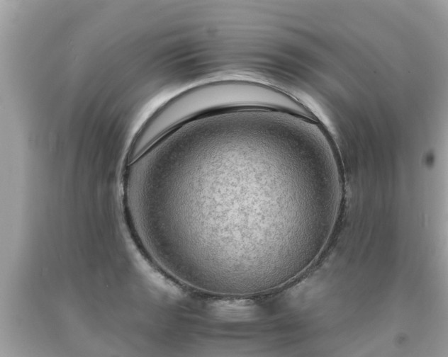 X0000092001133200709131509