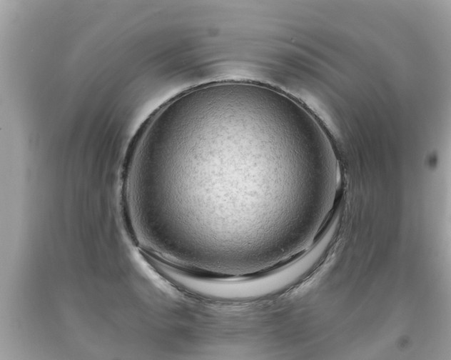 X0000092001134200709131509