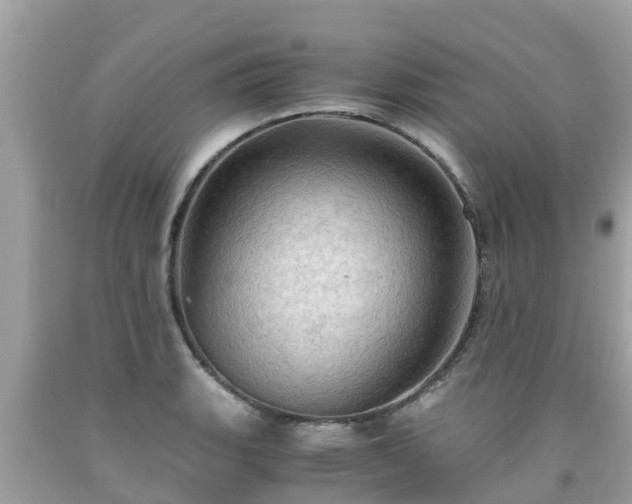 X0000092001135200709131509