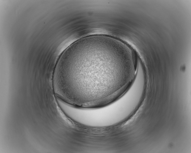 X0000092001137200709131509