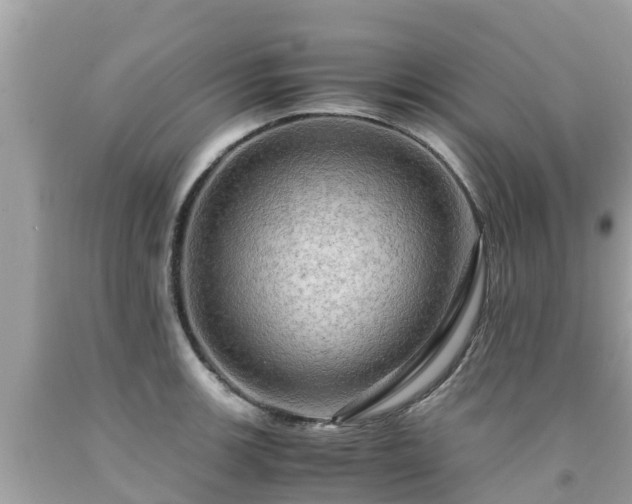 X0000092001139200709131509