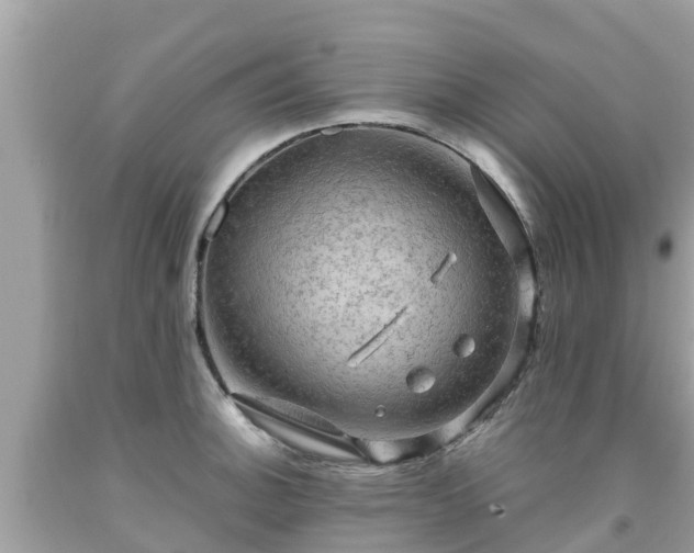 X0000092001140200709131509