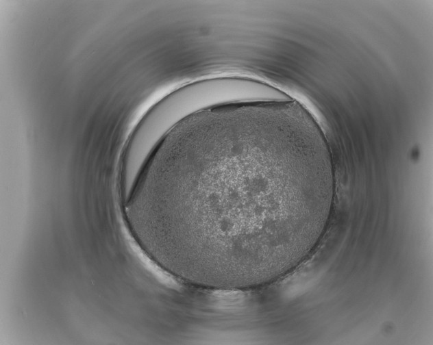 X0000092001142200709131509