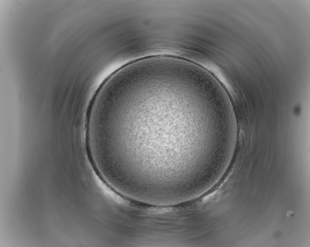 X0000092001143200709131509