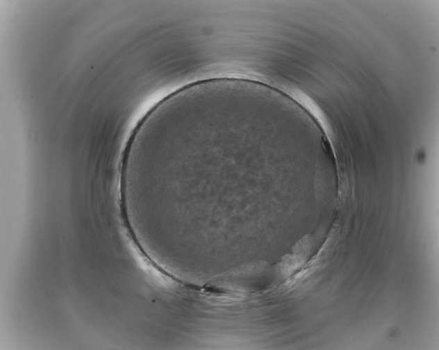 X0000092001144200709131509