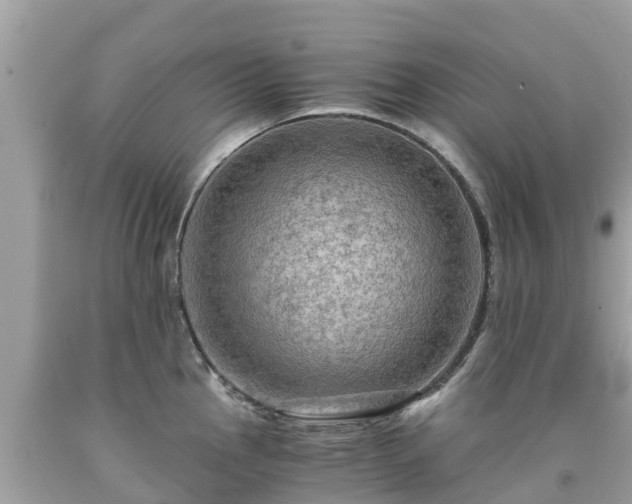 X0000092001145200709131509