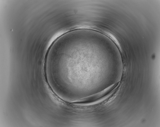 X0000092001146200709131509