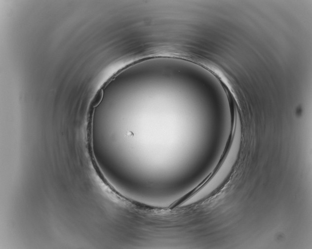 X0000092001147200709131509