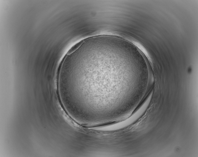 X0000092001148200709131509