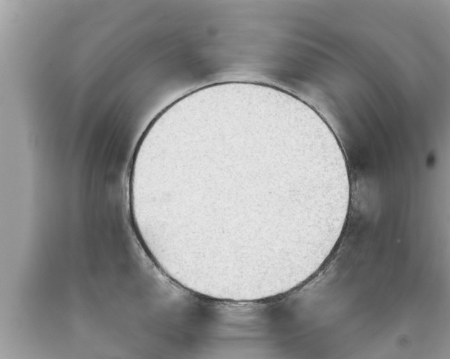 X0000092001150200709131509