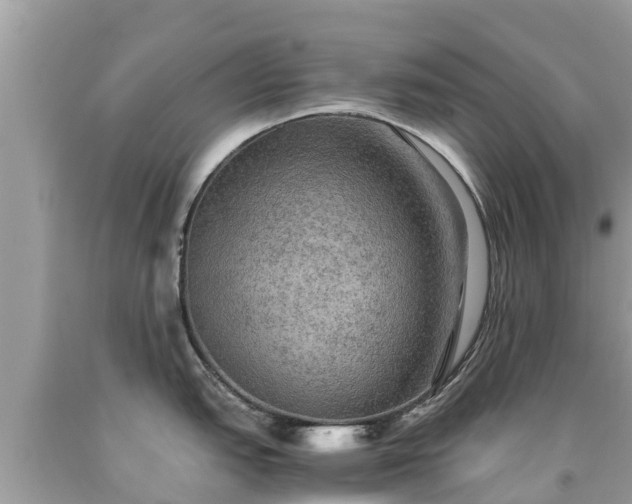 X0000092001151200709131509