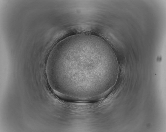 X0000092001153200709131509