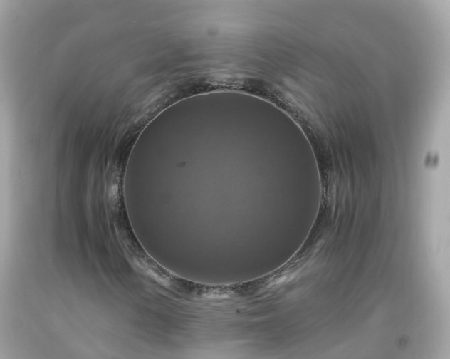 X0000092001154200709131509