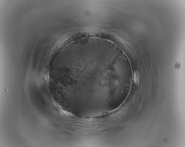 X0000092001155200709131509