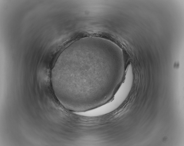 X0000092001156200709131509