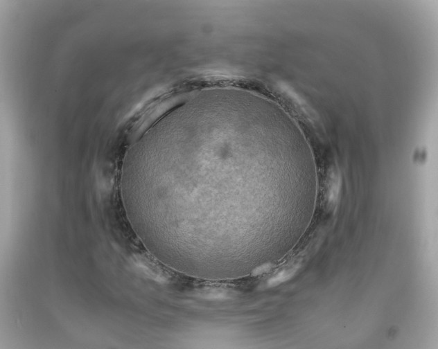 X0000092001157200709131508