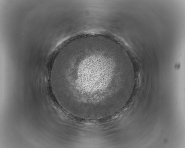 X0000092001158200709131508