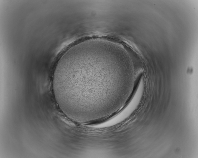 X0000092001160200709131508