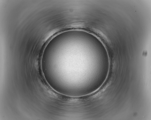 X0000092001162200709131508