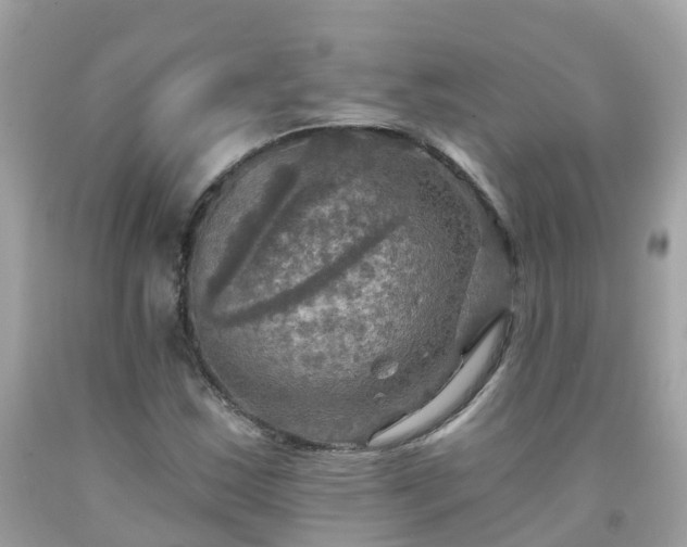 X0000092001163200709131508