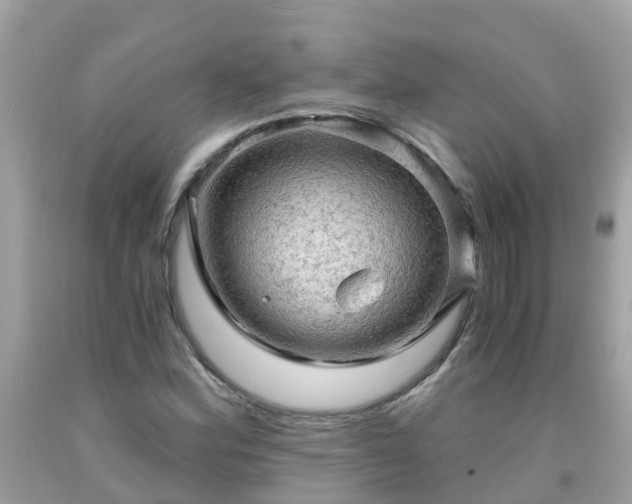 X0000092001164200709131508