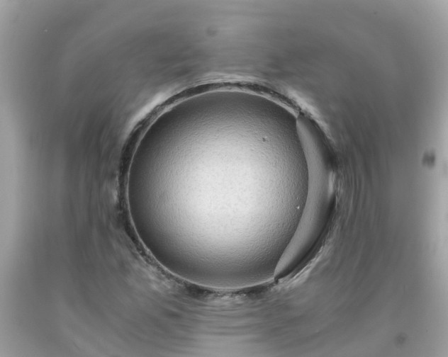 X0000092001165200709131508