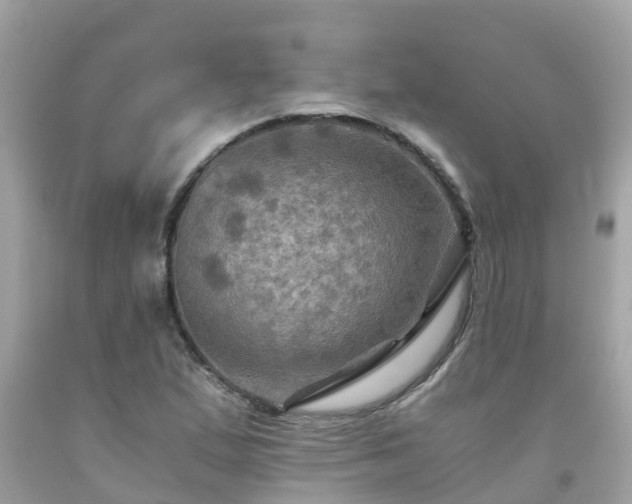 X0000092001167200709131508