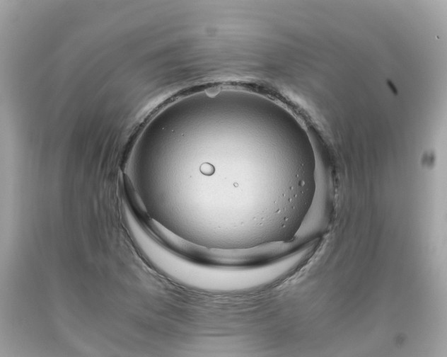 X0000092001169200709131508