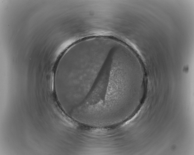 X0000092001171200709131508