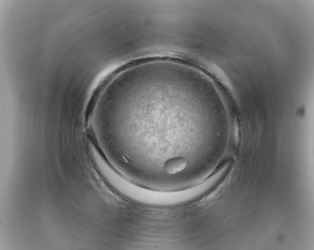 X0000092001172200709131508