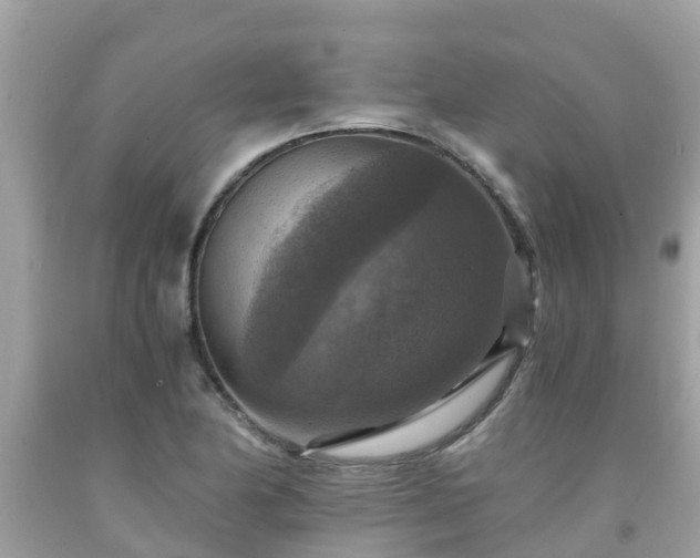 X0000092001174200709131508