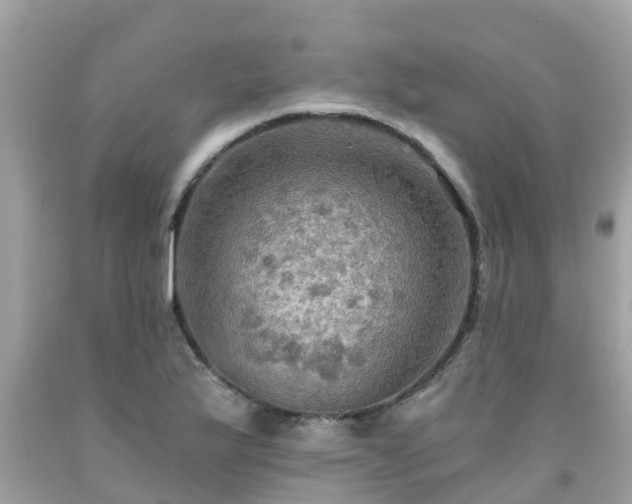 X0000092001175200709131508