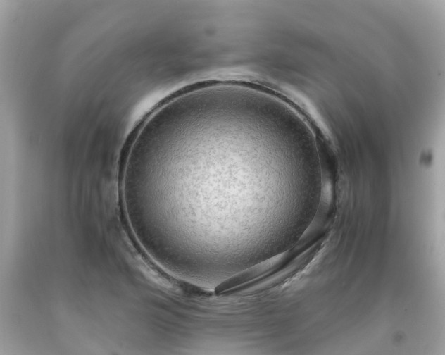 X0000092001176200709131508