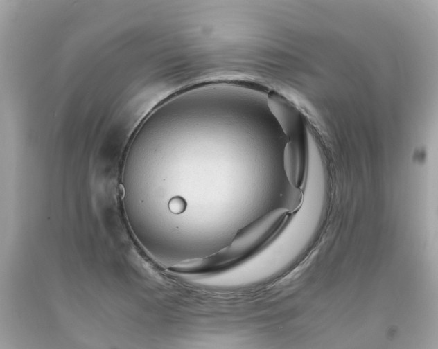 X0000092001177200709131508