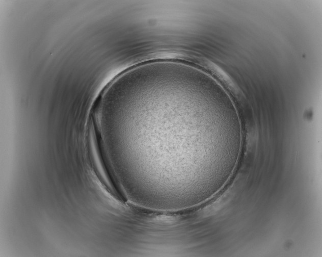 X0000092001178200709131508