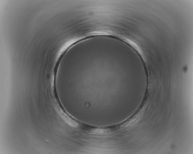 X0000092001179200709131508