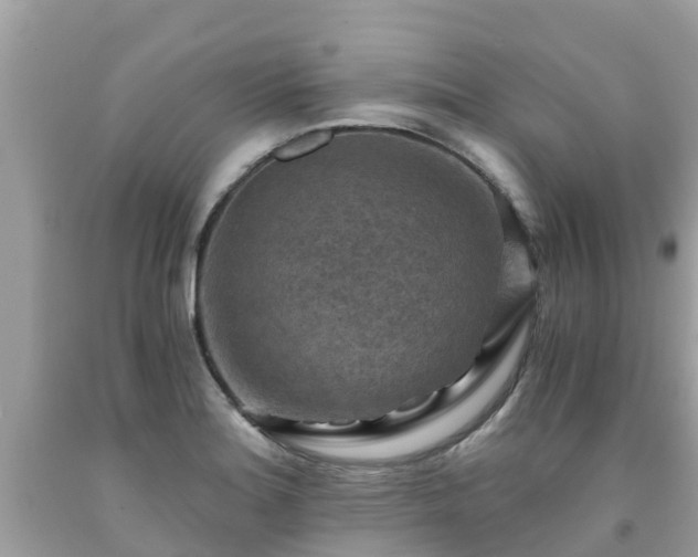 X0000092001180200709131508