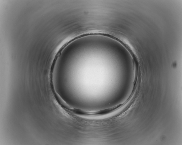 X0000092001181200709131508