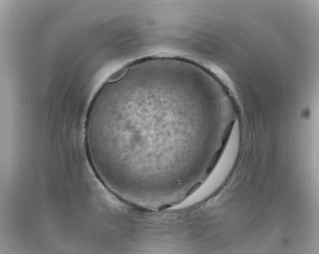 X0000092001183200709131508