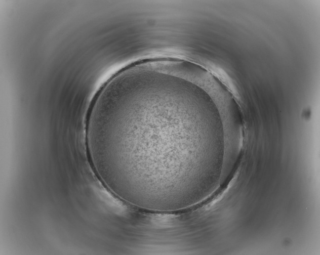 X0000092001184200709131508