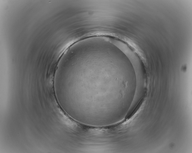 X0000092001185200709131508