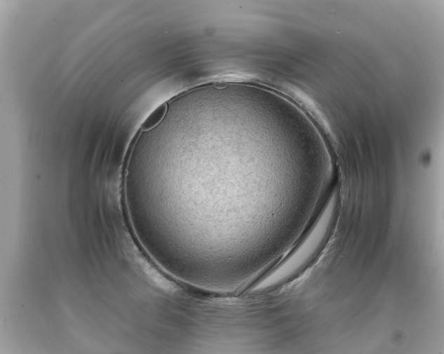 X0000092001186200709131508