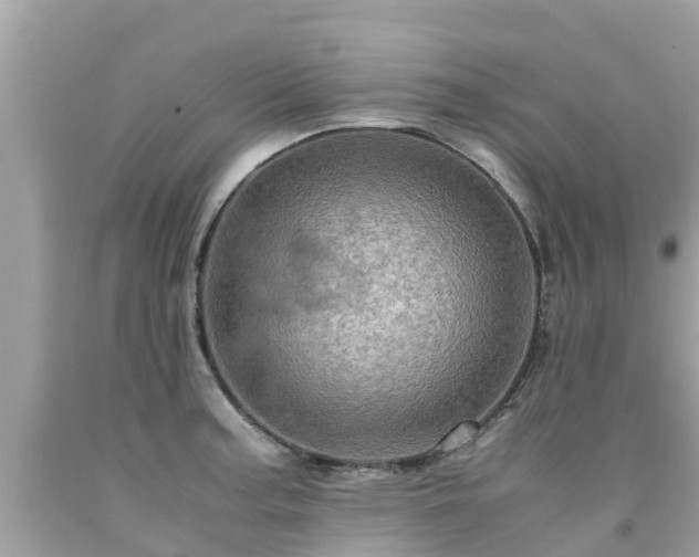 X0000092001187200709131508